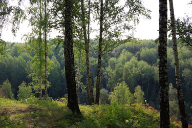 Similar image 21442578