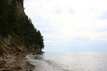 Similar image 21442584