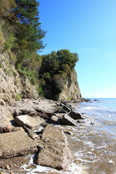 Similar image 21442599