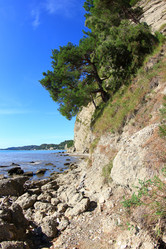 Similar image 21442616