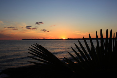 Similar image 21442632