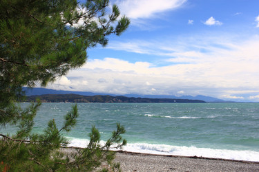 Similar image 21442875