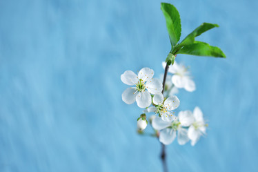 Similar image 21446690