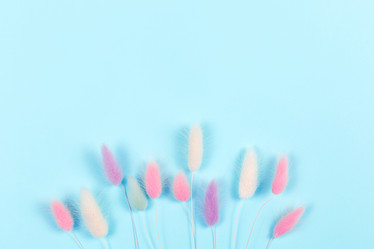 Similar image 21445589