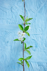 Similar image 21445592