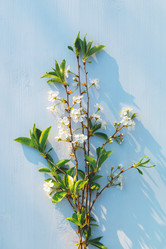 Similar image 21445593