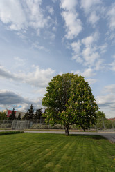 Similar image 21446291