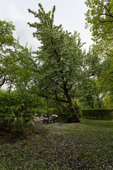 Similar image 21471519