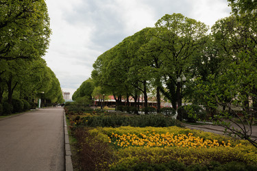 Similar image 21445030