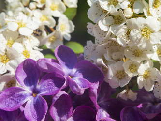 Similar image 21440737