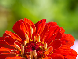 Similar image 21440738