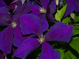 Similar image 21440743