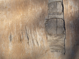 Similar image 21440748