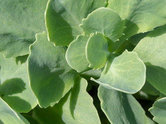 Similar image 21440749