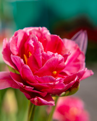 Similar image 21440750