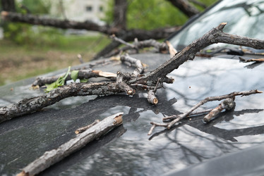 Similar image 21442046