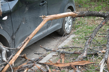 Similar image 21442047