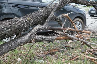 Similar image 21442048