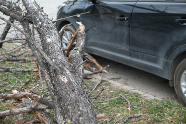 Similar image 21442049