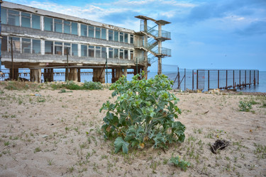 Similar image 21443252