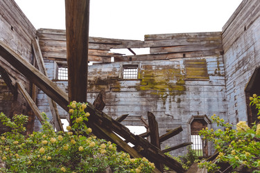 Similar image 21443261