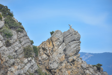 Similar image 21442876