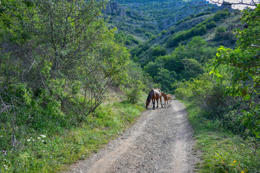 Similar image 21442908