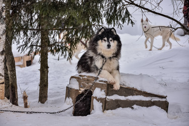 Similar image 21442910