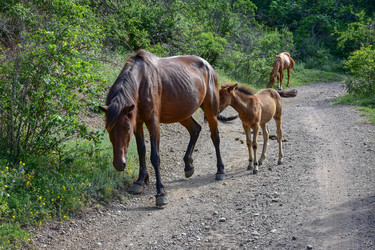 Similar image 21442911