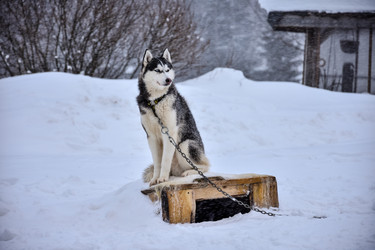 Similar image 21442914