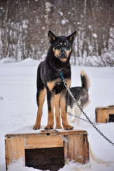 Similar image 21442916