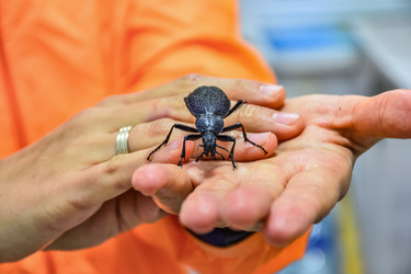 Similar image 21442918