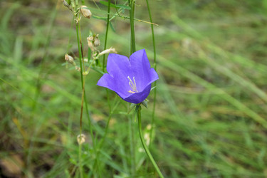 Similar image 21443281