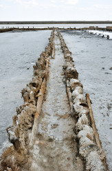 Similar image 21443283