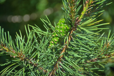 Similar image 21443293