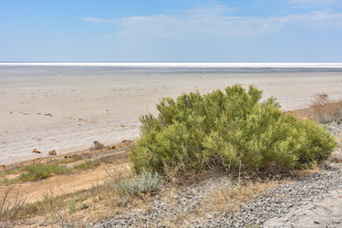 Similar image 21443295