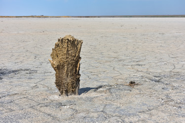 Similar image 21443301