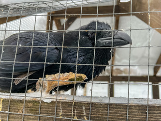 Similar image 21442927