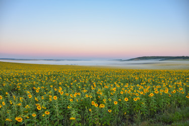 Similar image 21442932