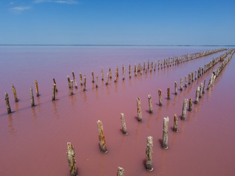 Similar image 21442945