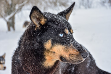 Similar image 21442951