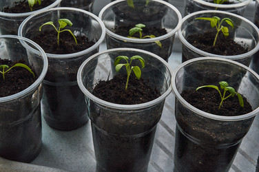 Similar image 21442686