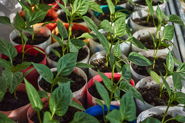 Similar image 21442688