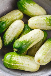 Similar image 21445617