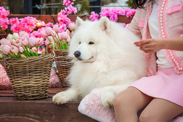 Similar image 21442692