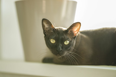 Similar image 21442694