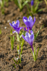 Similar image 21442714