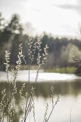 Similar image 21442715