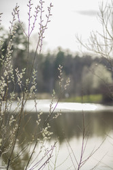 Similar image 21442717