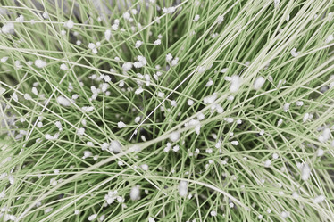 Similar image 21443520